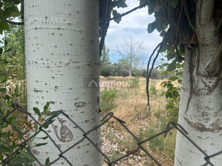 Terreno en Venta en Lujan de Cuyo, Mendoza