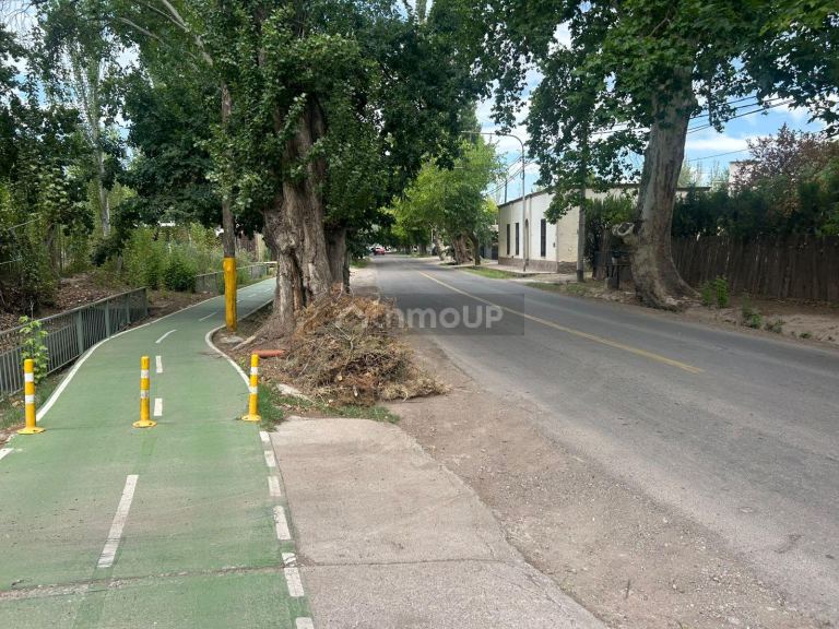 Terreno en Venta en Lujan de Cuyo, Mendoza