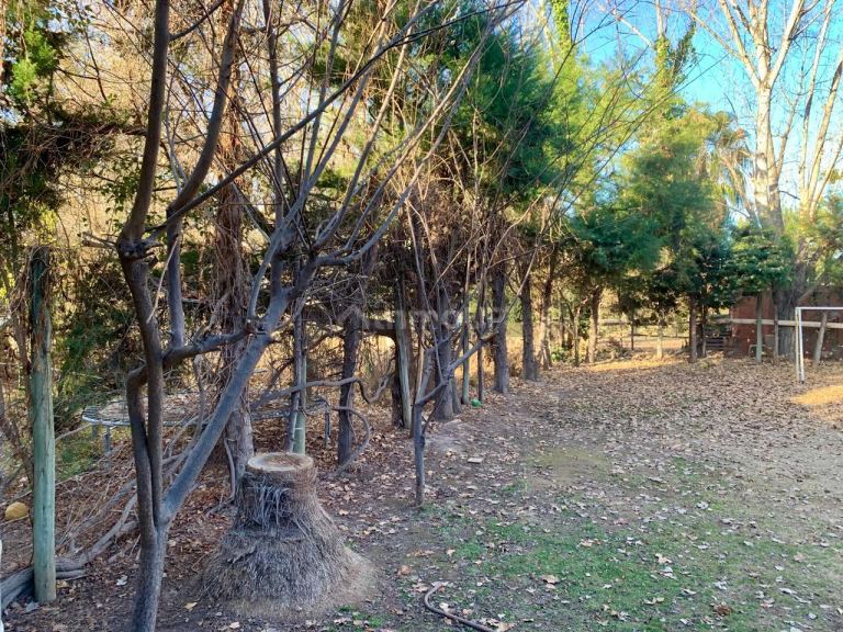 Casa en Alquiler en Lujan de Cuyo, Mendoza