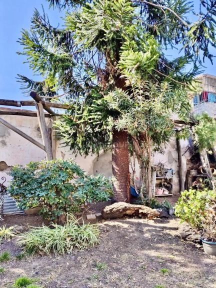 Lote en Venta en Capital, Mendoza
