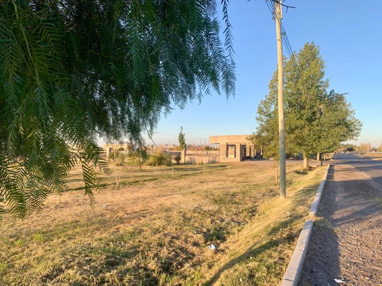 Lote en Venta en Lujan de Cuyo, Mendoza