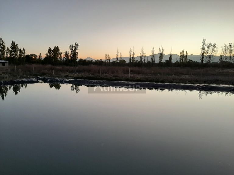 Finca en Venta en Maipu, Mendoza