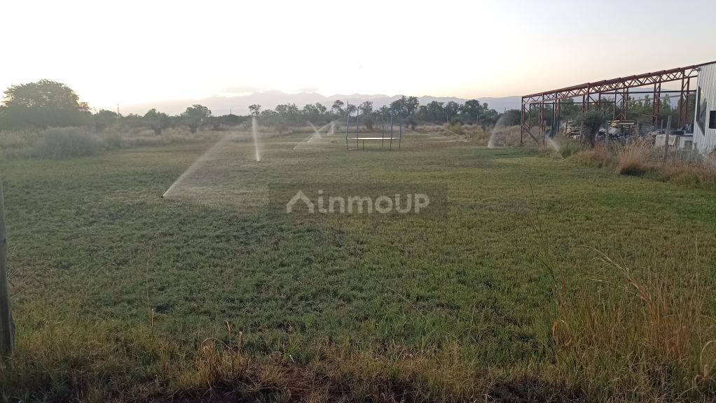 Finca en Venta en Maipu, Mendoza