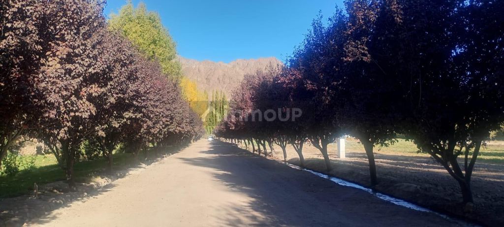 Lote en Venta en Las Heras, Mendoza