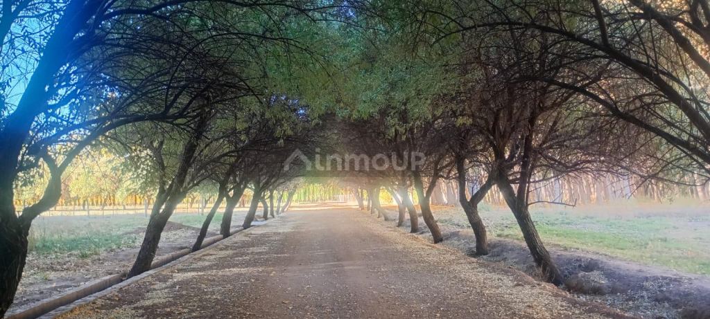 Lote en Venta en Las Heras, Mendoza
