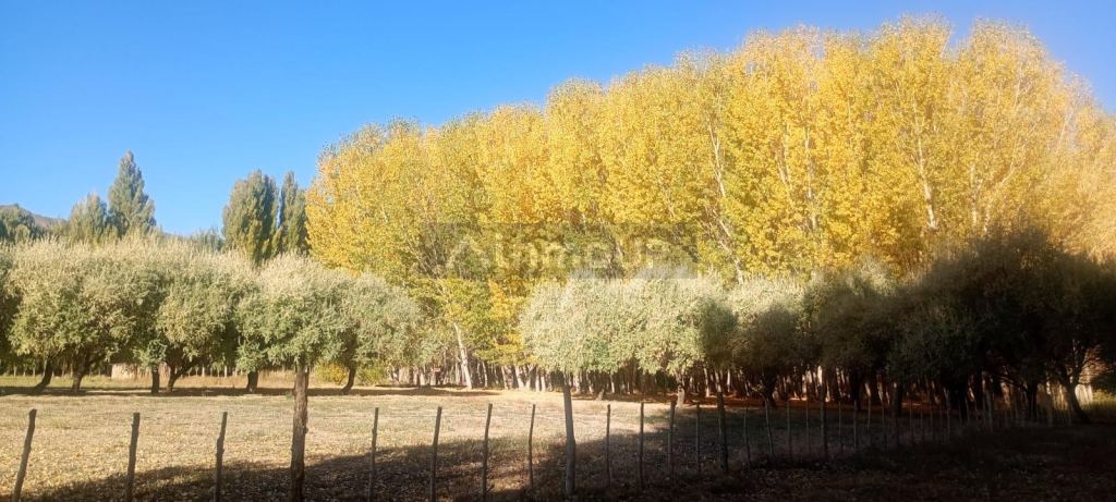 Lote en Venta en Las Heras, Mendoza