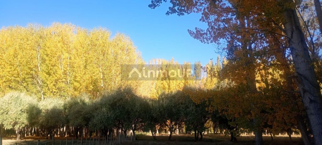 Lote en Venta en Las Heras, Mendoza