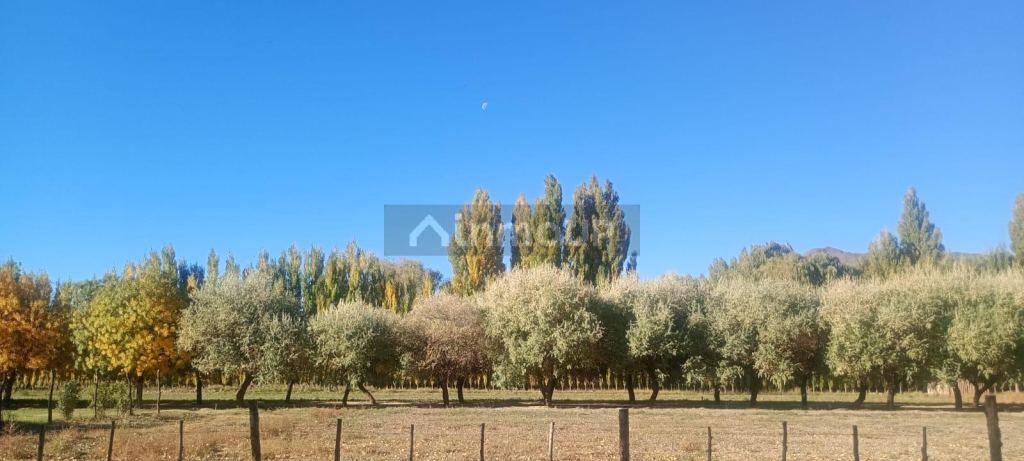 Lote en Venta en Las Heras, Mendoza