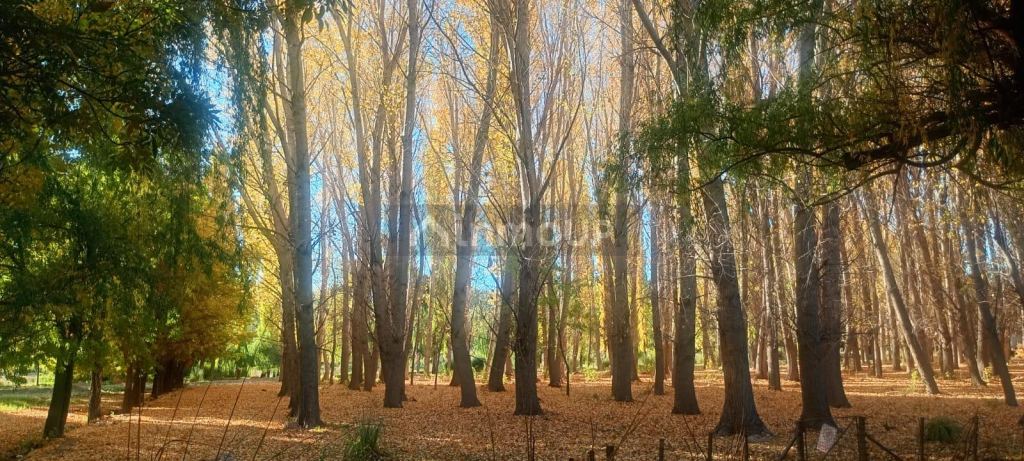 Lote en Venta en Las Heras, Mendoza