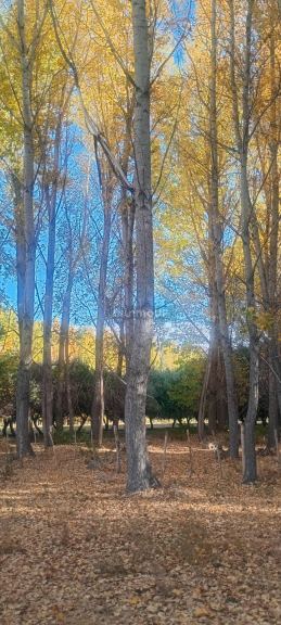 Lote en Venta en Las Heras, Mendoza
