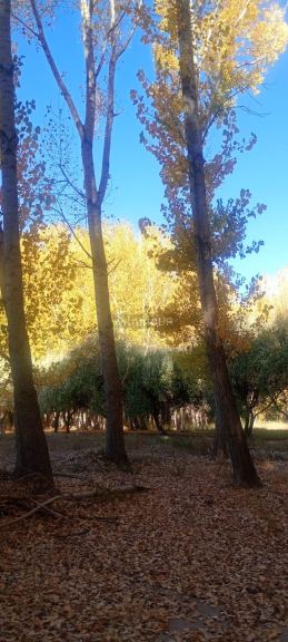 Lote en Venta en Las Heras, Mendoza