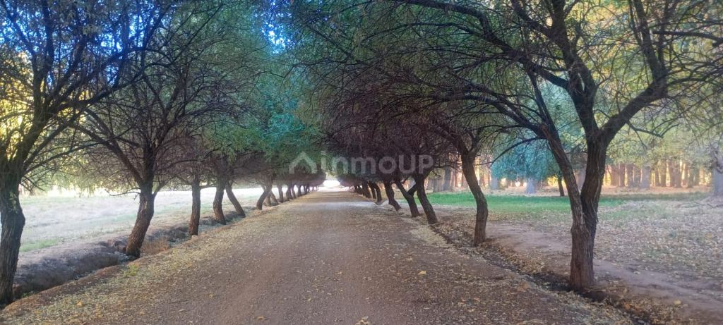 Lote en Venta en Las Heras, Mendoza