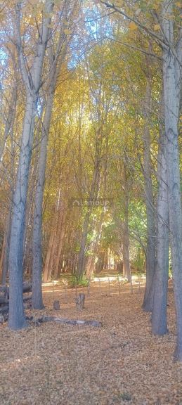 Lote en Venta en Las Heras, Mendoza