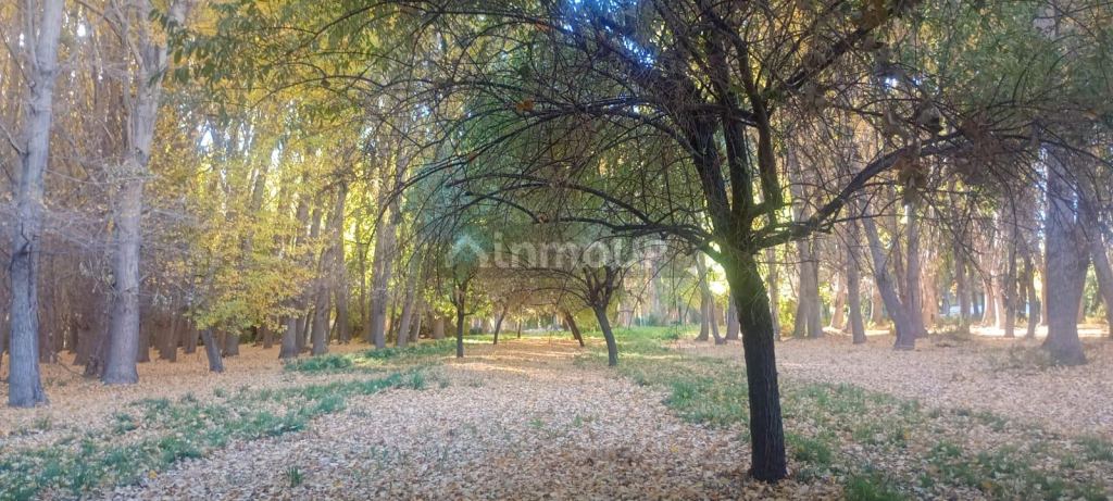 Lote en Venta en Las Heras, Mendoza