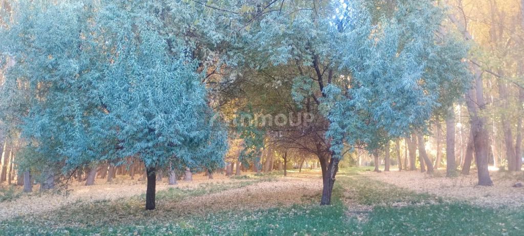 Lote en Venta en Las Heras, Mendoza