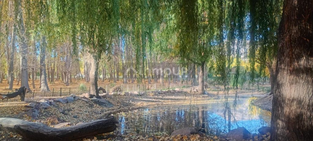Lote en Venta en Las Heras, Mendoza