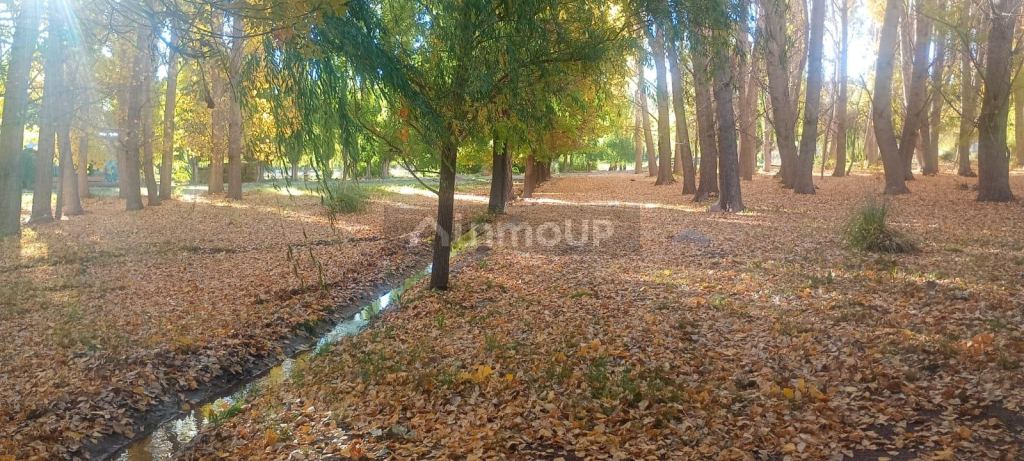 Lote en Venta en Las Heras, Mendoza