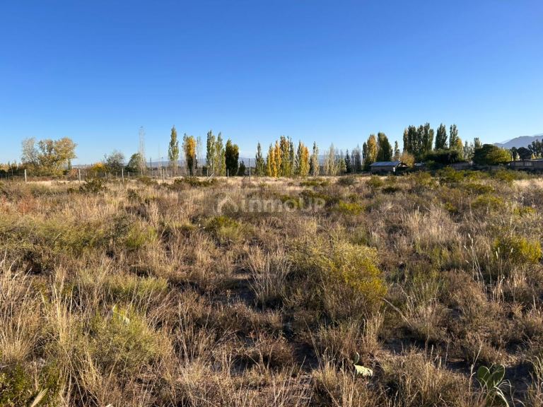 Lote en Venta en Lujan de Cuyo, Mendoza