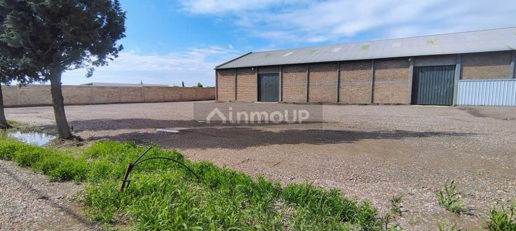 Galpon en Alquiler en Maipu, Mendoza - USD 5.000 | Inmoup - 22