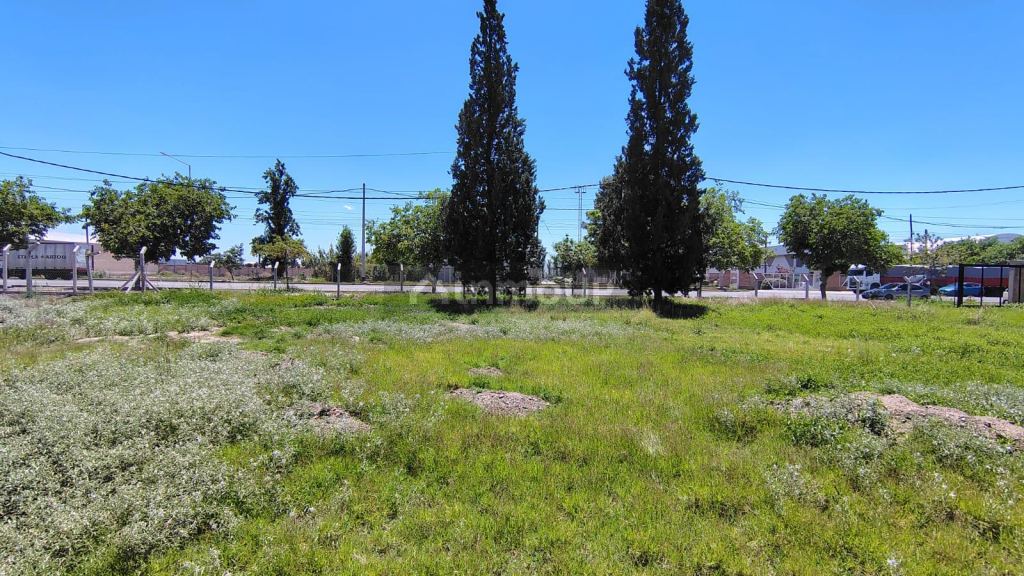 Galpon en Alquiler en Maipu, Mendoza