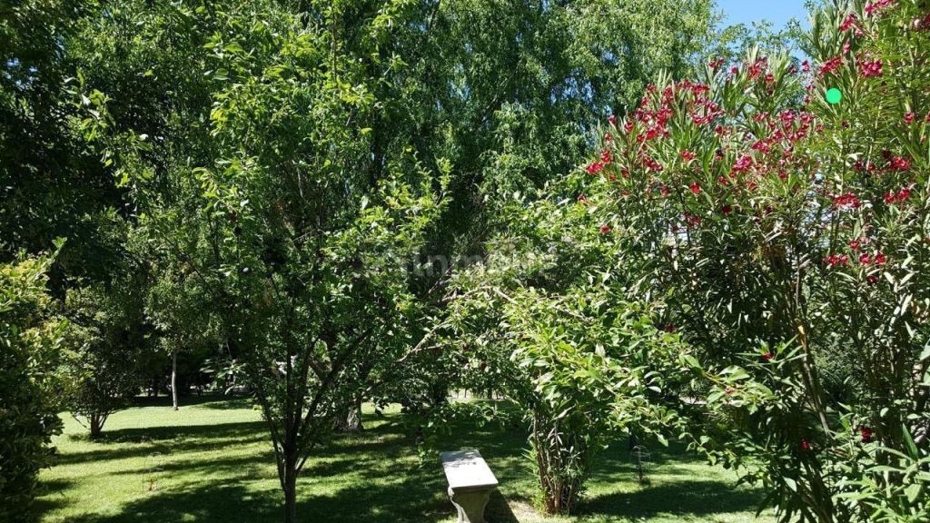 Casa Quinta en Venta en Maipu, Mendoza