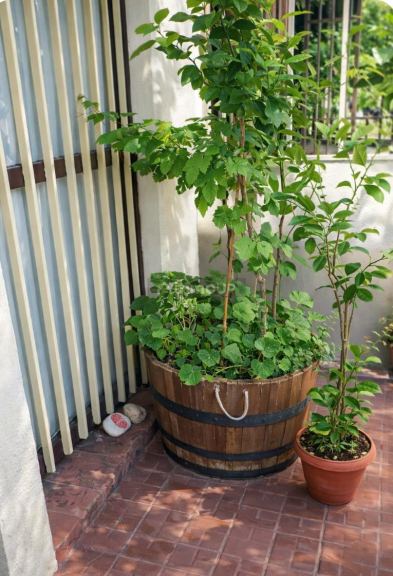 Departamento en Venta en Las Heras, Mendoza