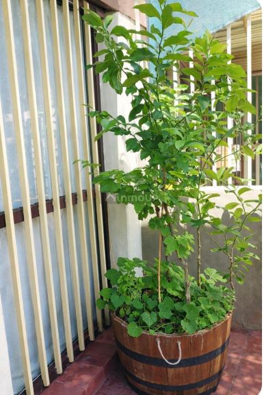 Departamento en Venta en Las Heras, Mendoza