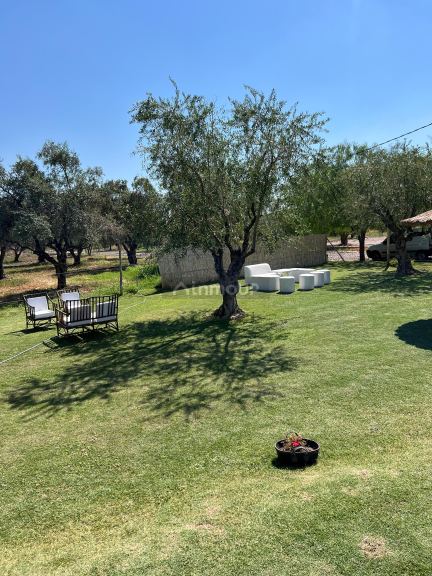 Casa Quinta en Venta en Maipu, Mendoza