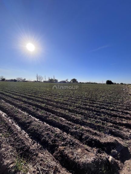 Lote en Venta en Maipu, Mendoza