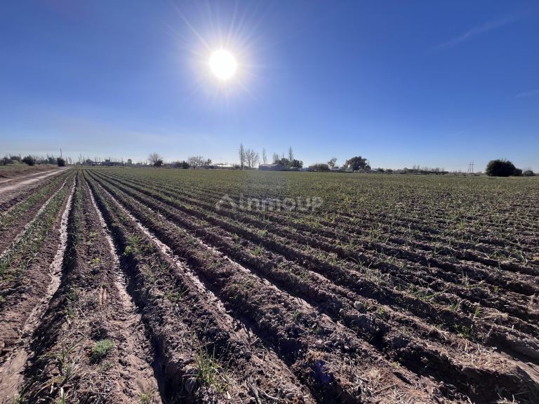Lote en Venta en Maipu, Mendoza