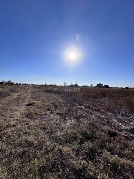 Lote en Venta en Maipu, Mendoza