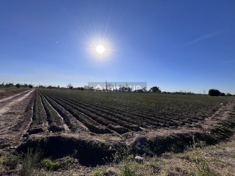 Lote en Venta en Maipu, Mendoza