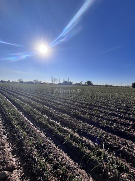 Lote en Venta en Maipu, Mendoza