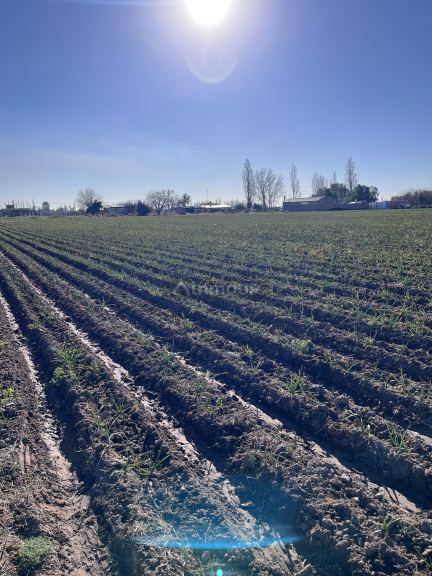 Lote en Venta en Maipu, Mendoza