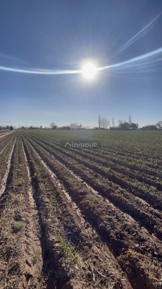 Lote en Venta en Maipu, Mendoza