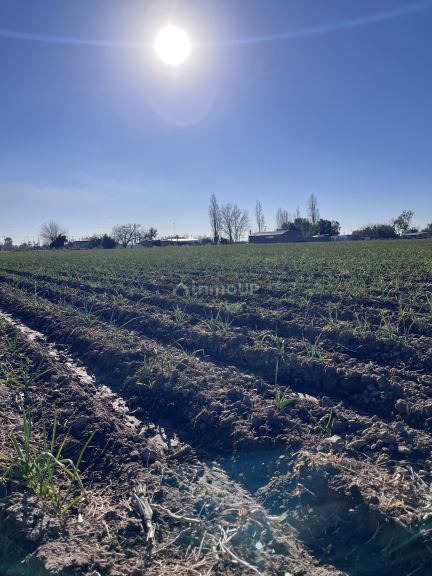 Lote en Venta en Maipu, Mendoza