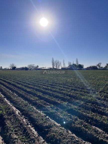 Lote en Venta en Maipu, Mendoza
