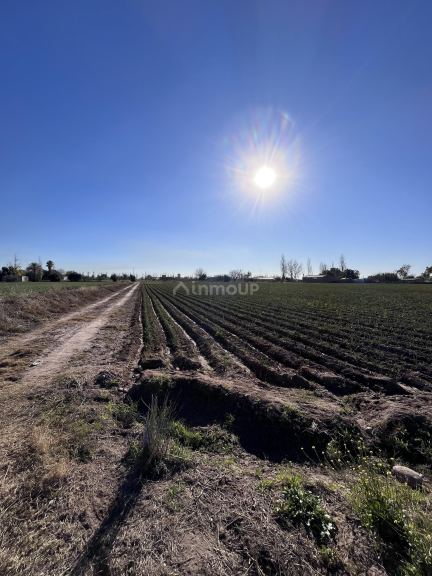 Lote en Venta en Maipu, Mendoza