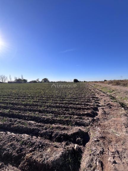 Campo en Venta en Maipu, Mendoza