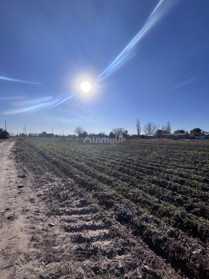 Campo en Venta en Maipu, Mendoza