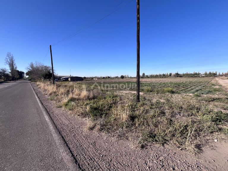 Campo en Venta en Maipu, Mendoza