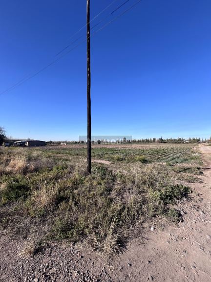 Campo en Venta en Maipu, Mendoza