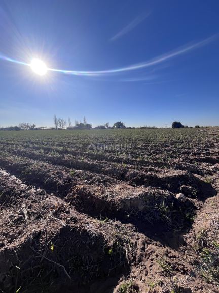 Campo en Venta en Maipu, Mendoza