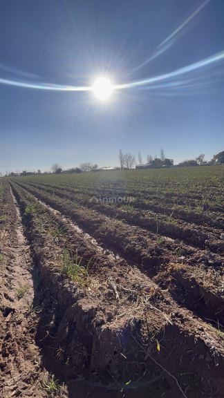 Campo en Venta en Maipu, Mendoza
