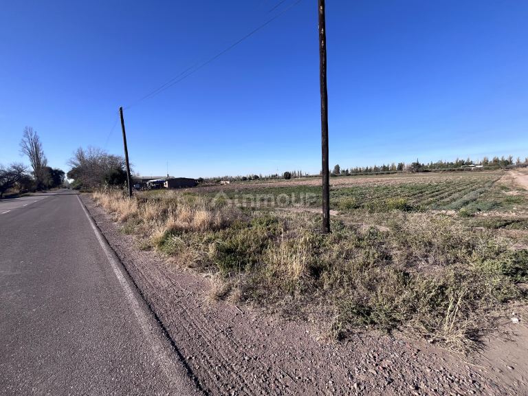 Campo en Venta en Maipu, Mendoza
