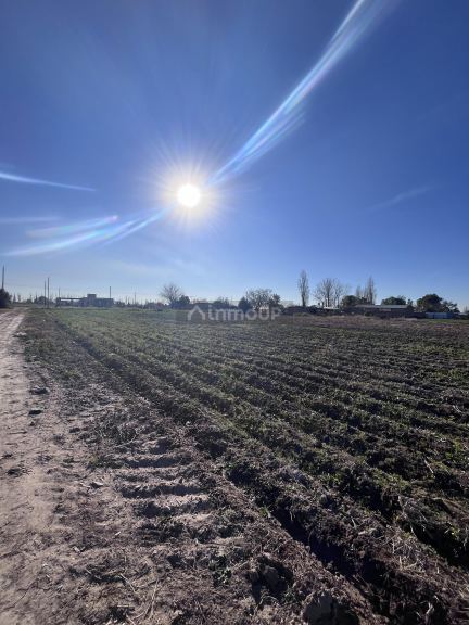 Campo en Venta en Maipu, Mendoza