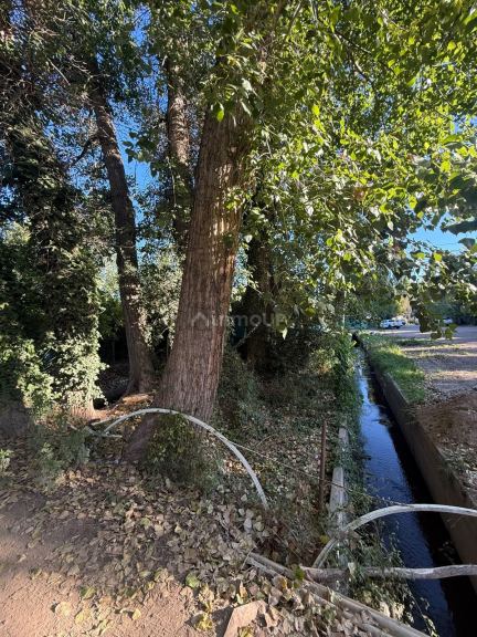 Lote en Venta en Lujan de Cuyo, Mendoza