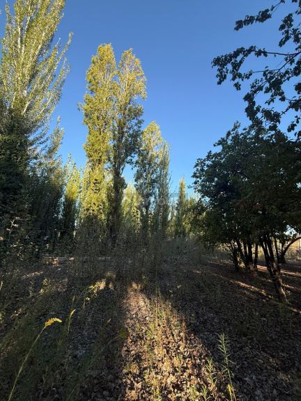 Lote en Venta en Lujan de Cuyo, Mendoza