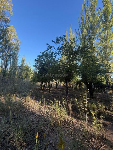 Lote en Venta en Lujan de Cuyo, Mendoza