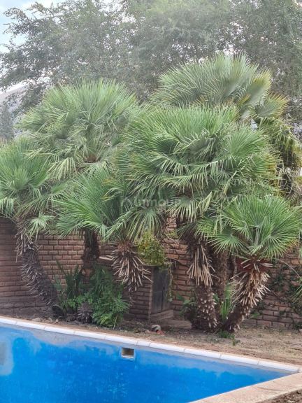 Casa en Venta en Juana Koslay, San Luis